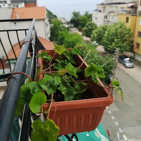 Kovachevi House 3* プリモルスコ