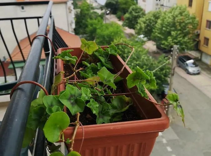 Kovachevi House 3* Πριμόρσκο